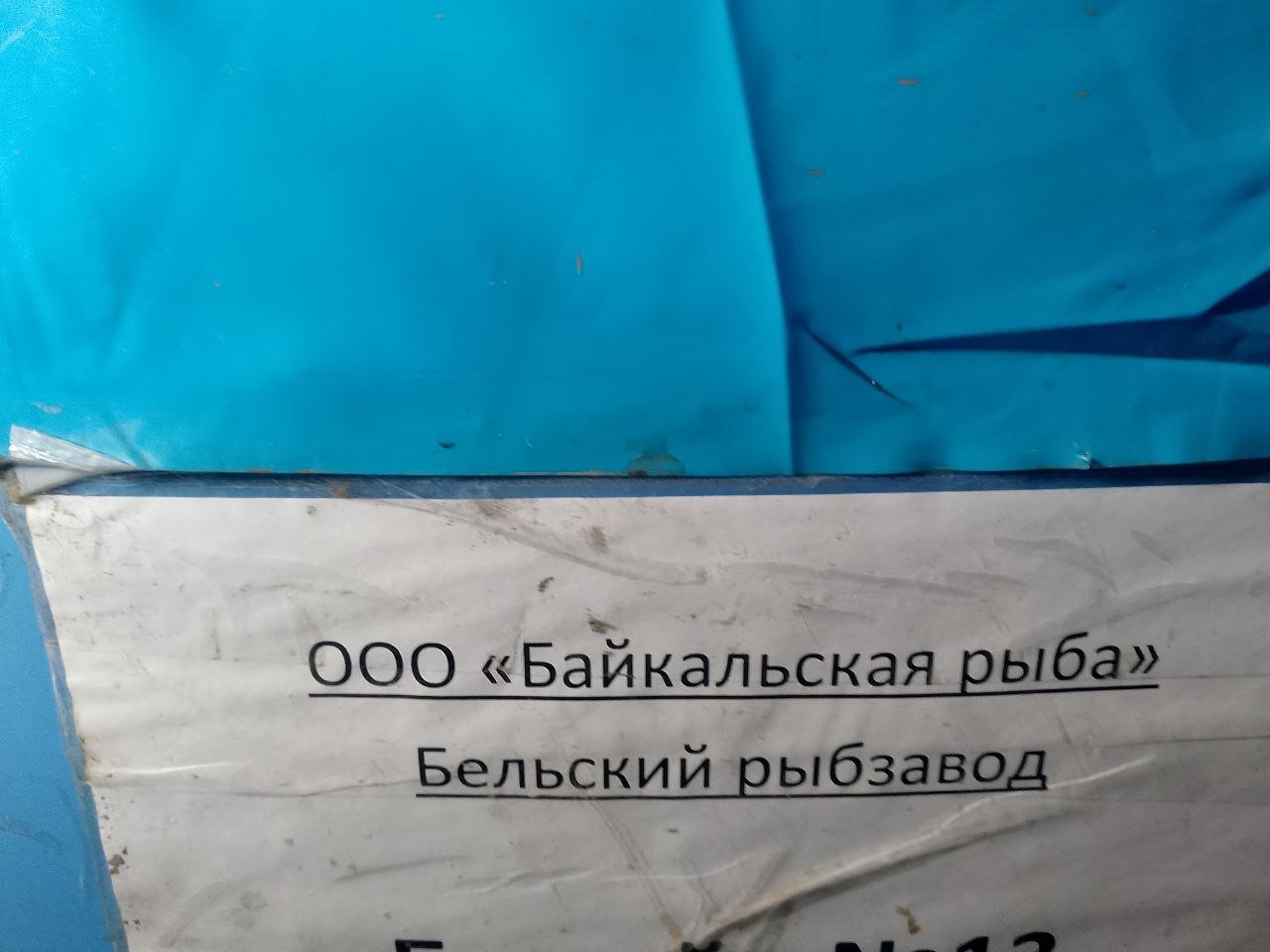 Восьмиклассники открывают для себя профессию рыбовода!.